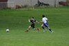 U14 BP Soccer vs Mt Lebanon p1 - Picture 49