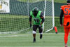 Dayton Hornets vs Ohio Crush p3 - Picture 40