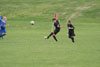 Century United BU13 vs Erie Admirals - Picture 13