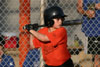 SLL Orioles vs Blue Jays pg2 - Picture 04