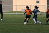 BPFC Black vs West Virginia - Picture 07