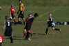 BPFC Black vs North Hills pg1 - Picture 25