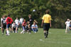 Century United BU13 vs Foothills - Picture 42