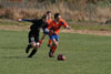 Century United BU13 v North Stars p1 - Picture 10