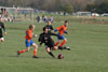 Century United BU13 v North Stars p1 - Picture 12