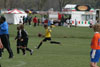 Century United BU13 v North Stars p1 - Picture 16