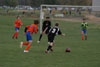 Century United BU13 v North Stars p1 - Picture 22