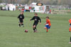 Century United BU13 v North Stars p1 - Picture 26