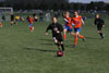 Century United BU13 v North Stars p1 - Picture 32
