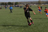 Century United BU13 v North Stars p1 - Picture 40