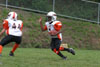 Mighty Mite White vs North Allegheny Tigers - Picture 05