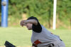 10Yr A Travel BP vs Peters page 2 - Picture 05
