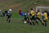 BPFC Black vs Montour - Picture 10