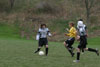 BPFC Black vs Montour - Picture 19