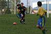 Century United BU13 vs OP-WC - Picture 07