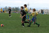 Century United BU13 vs OP-WC - Picture 13