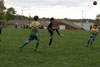 Century United BU13 vs OP-WC - Picture 33