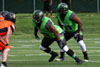 Dayton Hornets vs Ohio Crush p2 - Picture 32