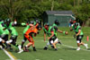 Dayton Hornets vs Ohio Crush p2 - Picture 47