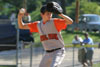10Yr A Travel BP vs BradMarPine - Picture 08
