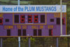 BPHS Varsity vs Plum p1 - Picture 22