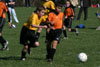 BPFC Black vs N Allegheny pg1 - Picture 15