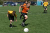 BPFC Black vs N Allegheny pg1 - Picture 30