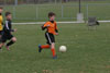 BPFC Black vs Orange pg 1 - Picture 43