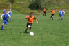 BPFC Black vs Chartiers Valley - Picture 15