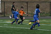 BPFC Black at BP tournament - Picture 11