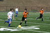 BPFC Black at BP tournament - Picture 36