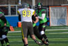 Dayton Hornets vs Ohio Valley Saints p2 - Picture 23