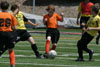 BPFC Orange vs TJ p2 - Picture 01