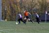 BPFC Black vs Plum - Picture 02