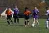 BPFC Black vs Plum - Picture 03