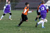 BPFC Black vs Plum - Picture 09