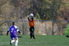 BPFC Black vs Plum - Picture 10