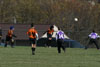 BPFC Black vs Plum - Picture 12