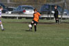 BPFC Black vs Plum - Picture 15