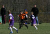 BPFC Black vs Plum - Picture 19