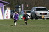 BPFC Black vs Plum - Picture 28