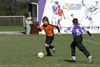 BPFC Black vs Plum - Picture 29