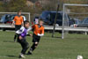 BPFC Black vs Plum - Picture 30