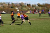 BPFC Black vs Plum - Picture 43