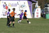 BPFC Black vs Plum - Picture 45