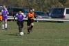 BPFC Black vs Plum - Picture 50