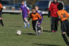 BPFC Black vs Plum - Picture 53