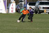 BPFC Black vs Plum - Picture 54