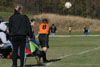 BPFC Black vs Plum - Picture 55