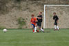 Century United BU13 vs North Stars - Picture 05